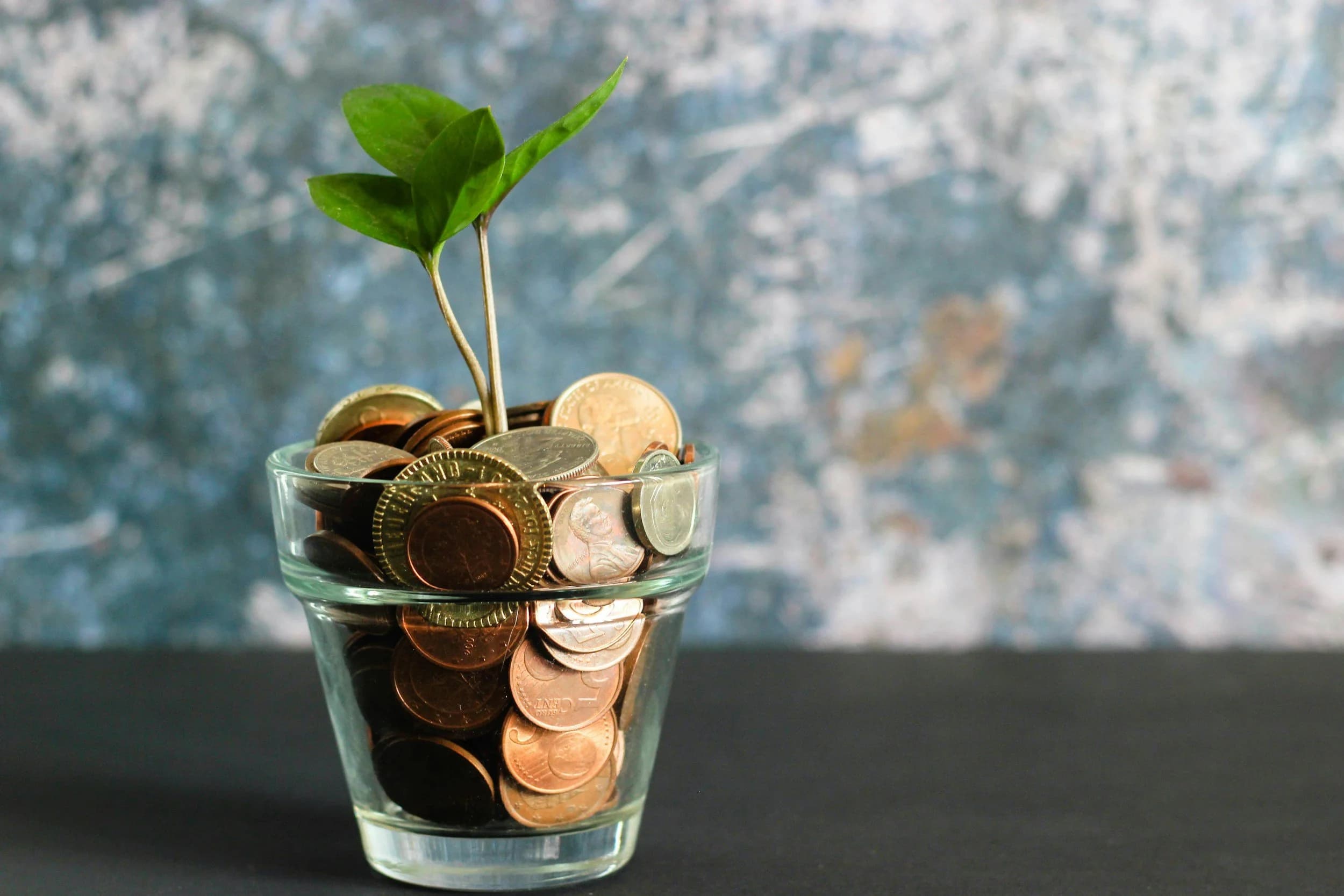 Glass jar filled with mixed copper and silver coins, with a small green plant growing from the center, symbolizing financial growth or savings.
